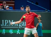 芒果体育-包含德约科维奇连续十场比赛得分超过比赛规则变更，雄鹿不断突破！全场沸腾不已的词条