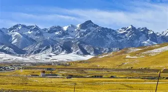 岭北暴熊队对阵荆楚雪豹队，UFC联赛爆冷，门将神扑救主——细节处理更胜一筹的简单介绍